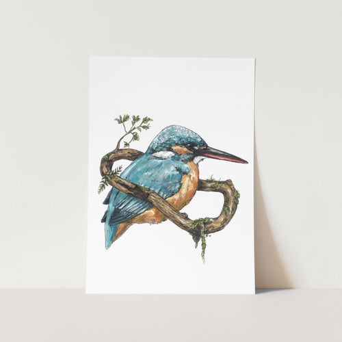 Wrapped in Stillness Art Print