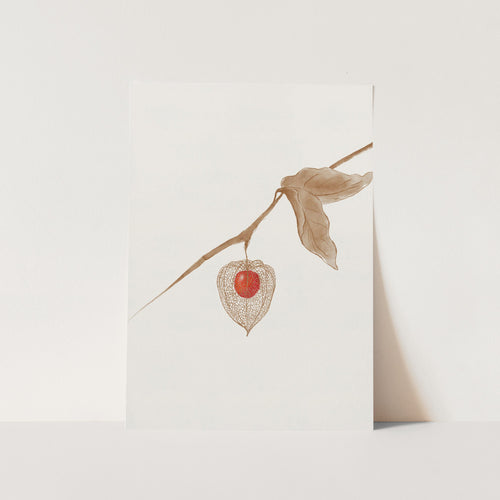 Psysalis/ Groundcherry PFY Art Print