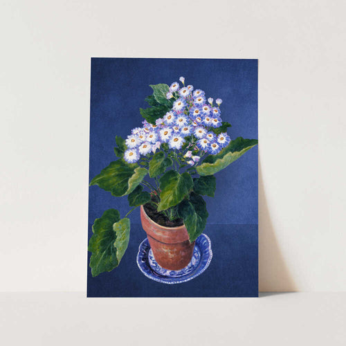 Cineraria, By Josephine PFY Art Print