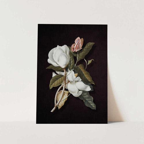 Magnolia Butterfly Bloom PFY Art Print