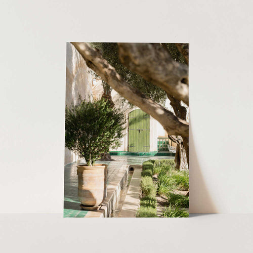 Tranquil Garden Courtyard PFY Art Print