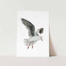 Load image into Gallery viewer, Seagull Art Print