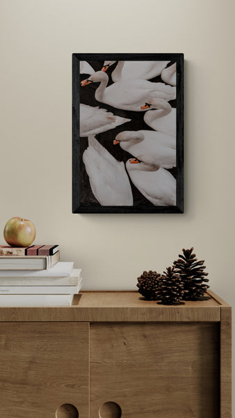 Swans by Maleene Hinrichsen Art Print