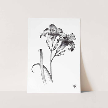 2 Day Lilies Jenna Art Print