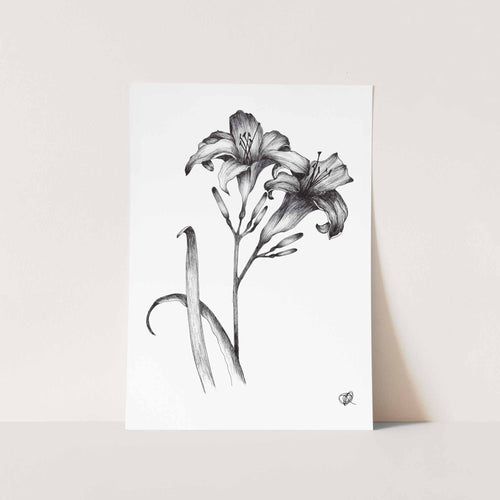 2 Day Lilies Jenna Art Print