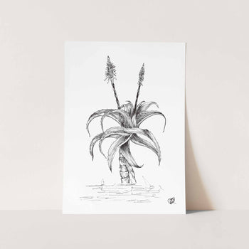 Aloe with 2 Flowers by Jenna Art Print