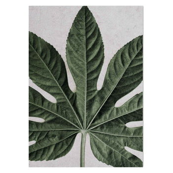 Aralia Zoomed by Sonjé Art Print