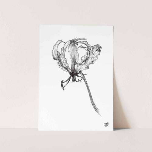 B&W Flame Lily by Jenna Art Print