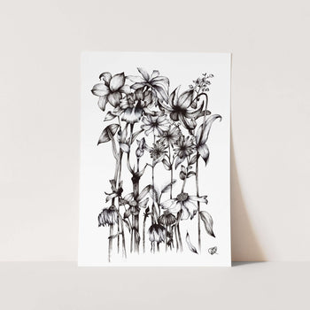 More B&W Flowers by Jenna Art Print