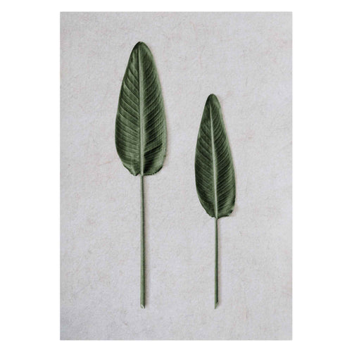 Banana Leaves Parallel by Sonjé Art Print