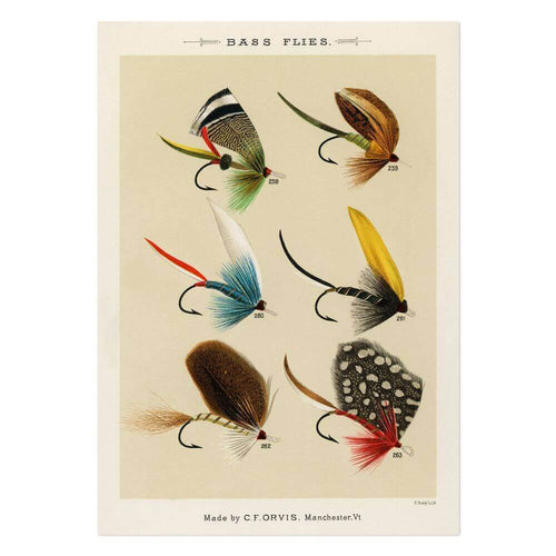 Bass Flies 1 Art Print