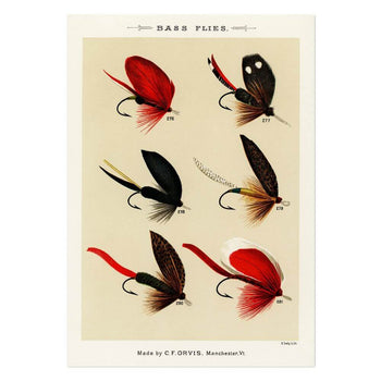 Bass Flies 5 Art Print