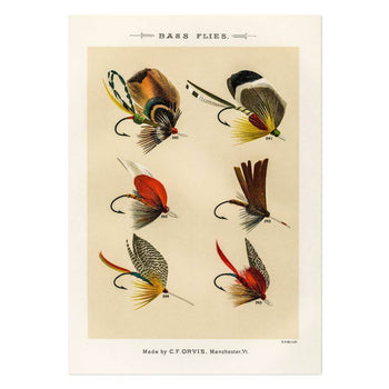 Bass Flies 6 Art Print