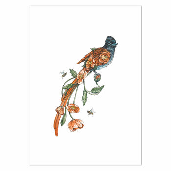 Bird of Paradise by Mareli Art Print