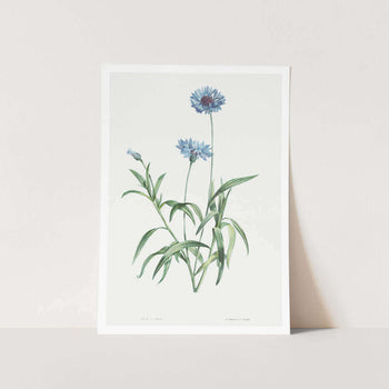 Blue Flower Art Print