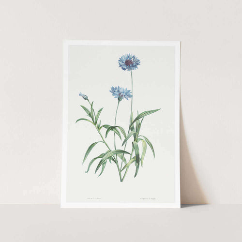 Blue Flower Art Print