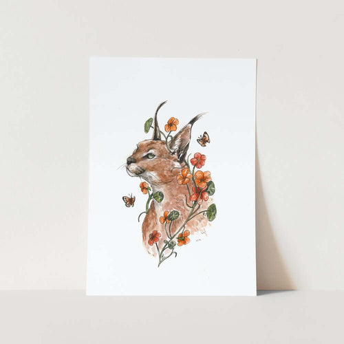 Caracal By Mareli Art Print