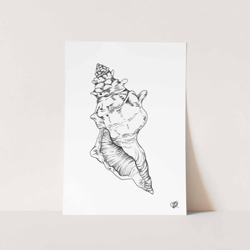 Conch by Jenna Art Print