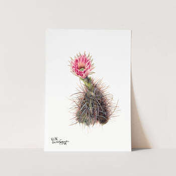 Cucumber cactus (1939) Art Print