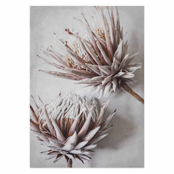 Dried King Pair Crop by Sonjé Art Print
