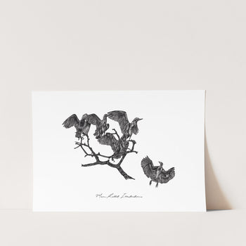 Eagrets by Jean-Mari Blauuw Art Print