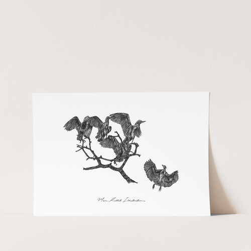 Eagrets by Jean-Mari Blauuw Art Print