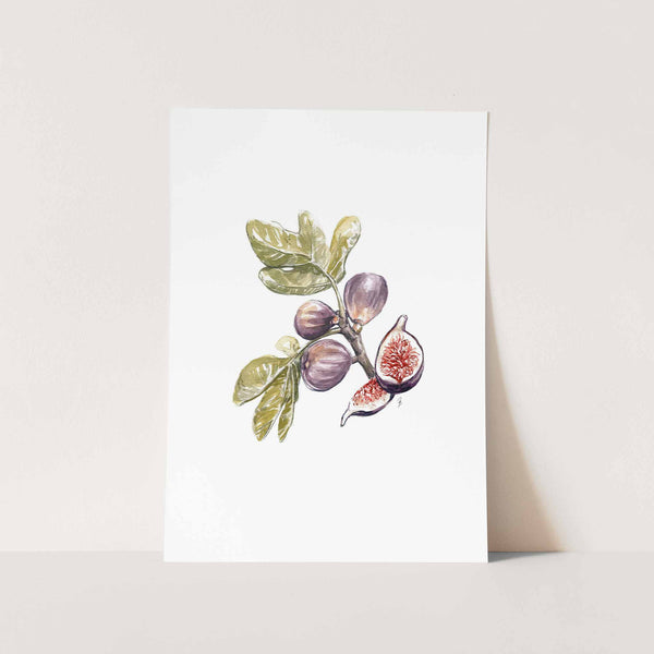 Figs Art Print