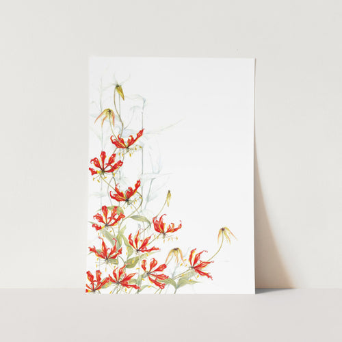 Flame Lily Original Art Print