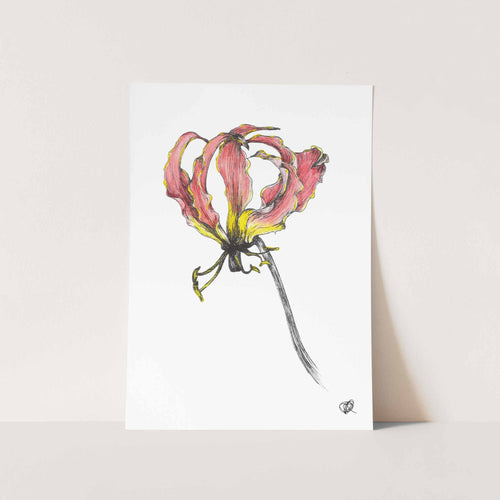 Flame Lily by Jenna Art Print