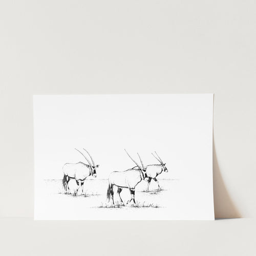 Gemsbok Trio Sketch Art Print