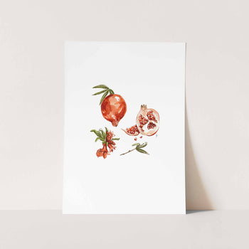 Granaat Art Print