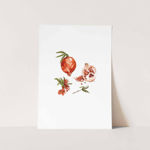 Granaat Art Print