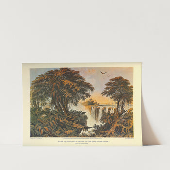 Herd of Buffaloes Driven to the Edge of the Chasm Victoria Falls Art Print