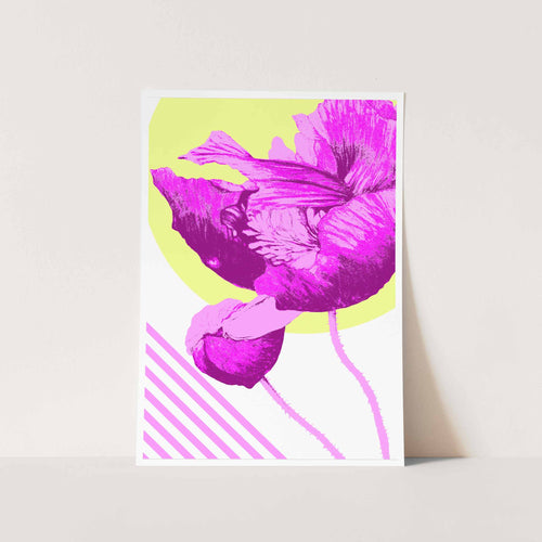 Hot Pink Poppy Art Print