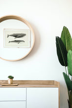 Load image into Gallery viewer, Humpback and Minke Whale framed