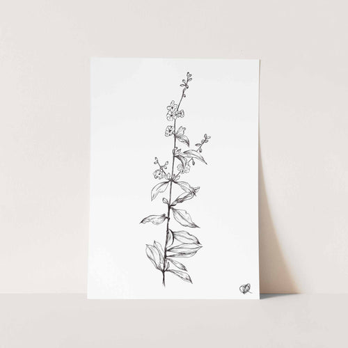 Jasmine by Jenna Art Print