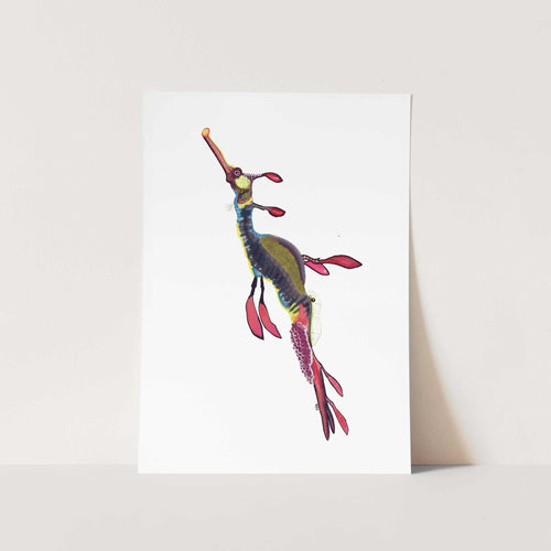 Leafy Seadragon Art Print