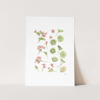 wall art of watercolour flowers