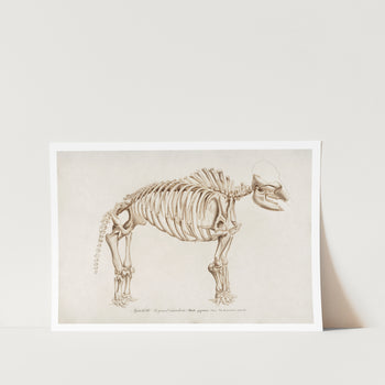 Mommoth Art Print