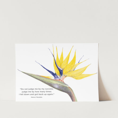 Mandela Gold Strelitzia Do Not Judge Me Art Print