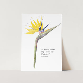 Mandela Gold Strelitzia It Always Seems Impossible Art Print