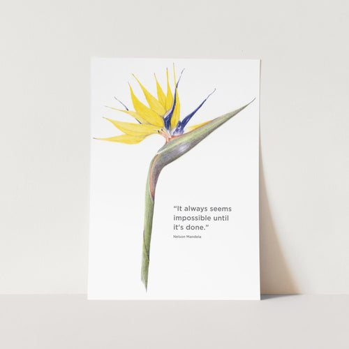 Mandela Gold Strelitzia It Always Seems Impossible Art Print