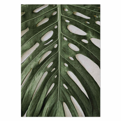 Monstera Zoom by Sonjé Art Print