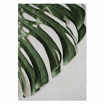 Monstera angle by Sonjé Art Print