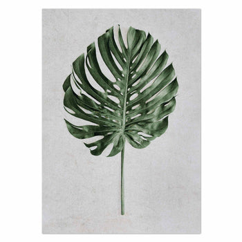 Monstera by Sonjé Art Print