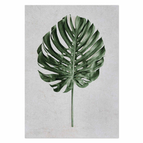 Monstera by Sonjé Art Print