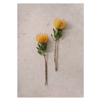 Pincushion pair by Sonjé Art Print