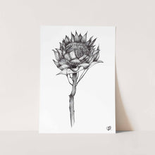 Load image into Gallery viewer, Protea by Jenna Art Print