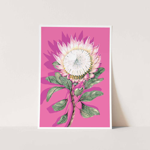 Protea in Sherbet Art Print