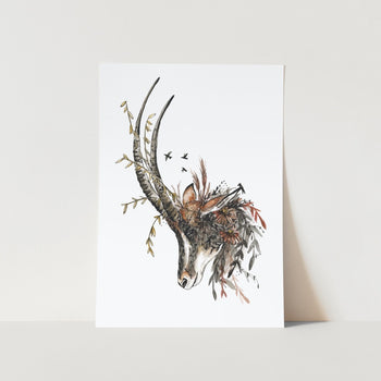 Sable by Mareli Art Print